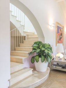 Villa Italia : Marble stairs