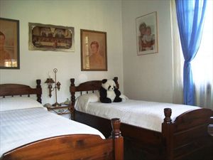 Villa Cesare : Room