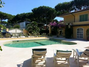 Villa  Amarcord : Swimming pool
