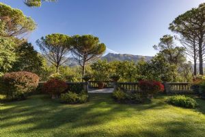 Villa Colletto Camaiore  : Garden