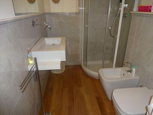 Appartamento Tender  : Bathroom with shower