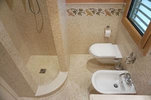 Villa Maestro : Bathroom with shower